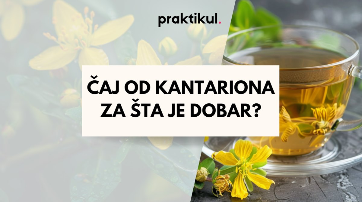 Čaj od kantariona Za šta je dobar?